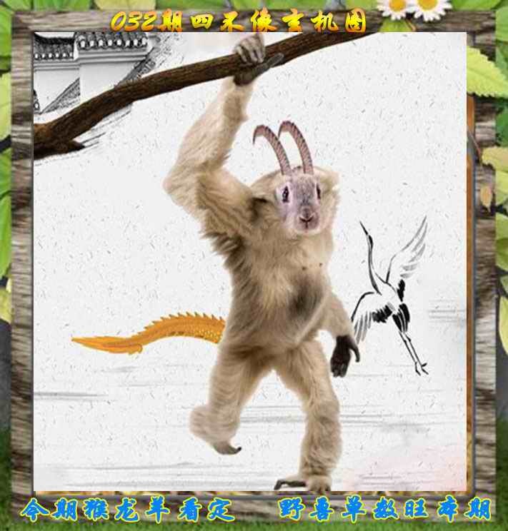 032期四不像特别版[图]
