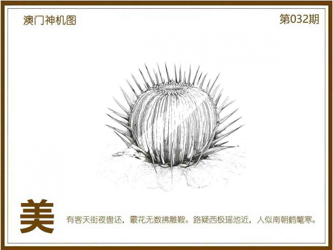 032期澳门神机图[图]